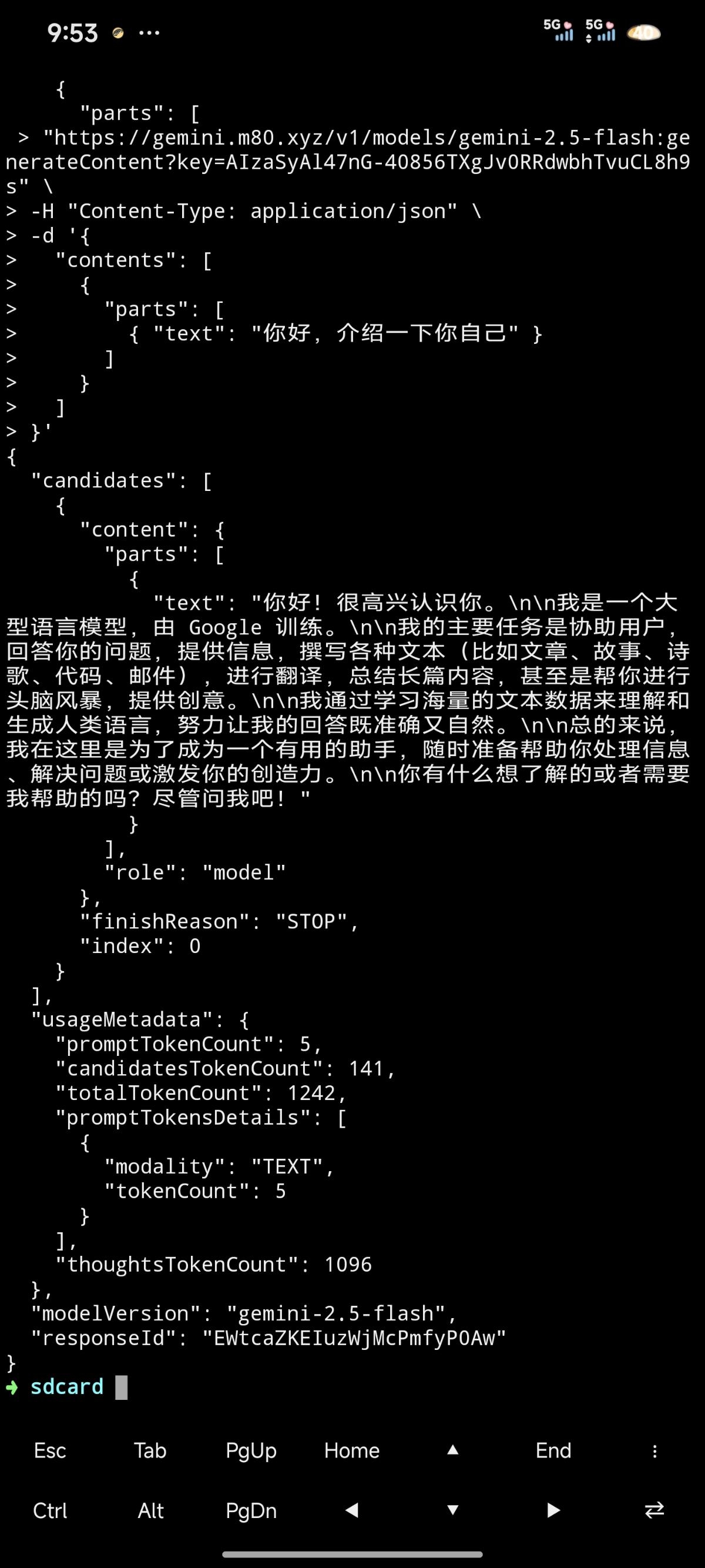 Gemini API 反向代理，国内直连无压力